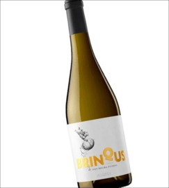 Macabeo - Brinqus, Joan Segura Pujadas, Penedes Oranjewijn