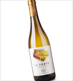 Cortese - Gavi Il Forte, Produttori del Gavi, Piemonte