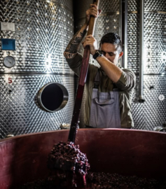 Kékfrankos, Pinot noir, Merlot + 4 - Aldas, Egri, Bikaver Superior, St Andrea, Hongarije