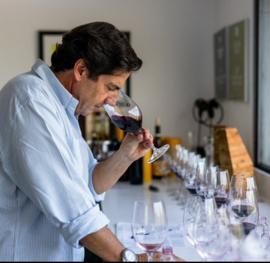 Sousão - Douro, Quinta do Vallado