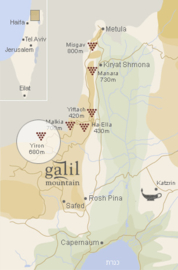 Merlot - Galil Mountain Winery - Israel