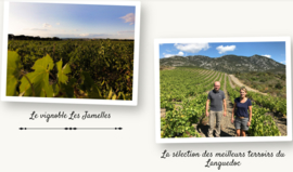 Chardonnay - Les Jamelles - Languedoc