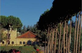 Cabernet Sauvignon, Merlot en Petit Verdot - Chateau Ksara   - Libanon