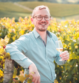 Chardonnay, Pinot Noir - Cremant,  Henri Maire - Cotes du Jura