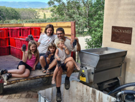 Xarel Lo, Macabeo - Xerric, Dasca Vives, Conca de Barbera, Catalonie