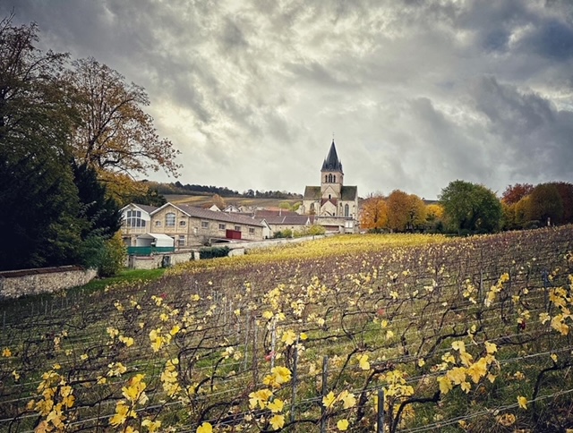Meunier - Blanc de Noir,  Les Chauffours, Virginie Bergeronneau, brut nature