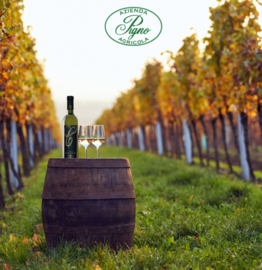 Trebbiano, Garganega, Trebbianello, Cortese, Chardonnay - Custoza, Garda,