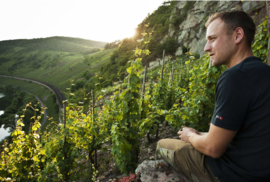 Riesling - Clemens Busch,  Mosel Gutswein Trocken