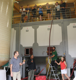 Grenache, Syrah - Clos des Combes, AOC Pic Saint Loup, Chateau de Lancyre