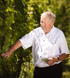 Gewurztraminer - Reserve, Fernand Engel, Elzas