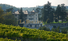 Chardonnay - Armason - Piemonte - Monferrato - La Bollina