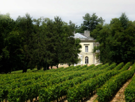 Chardonnay,  Arbois -  Vincent Edouard Poirier  Brut - Grenelle, Loire