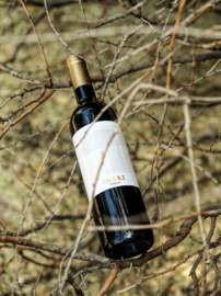 Tempranillo, Syrah, Cabernet Sauvignon - Cala 1, Tinedo - bio