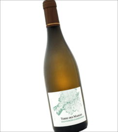 Sauvignon Blanc, Chardonnay -  Terre des Mauges, Réthoré Davy,  Loire