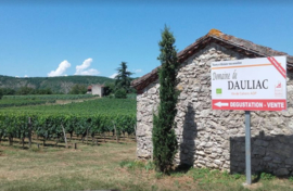 Malbec - Nu Cot, Domaine Dauliac, Cahors