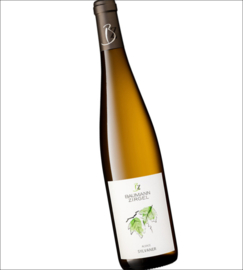 Sylvaner - Baumann-Zirgel Sylvaner Vieille Vignes