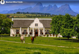 Cabernet Franc, Cabernet Sauvignon, Merlot, Petit Verdot - Rubicon, Meerlust, Zuid Afrika