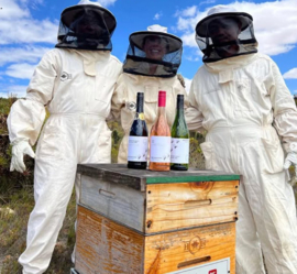 Chenin Blanc - Im-Care, Sophie Germanier, Paarl, Zuid Afrika