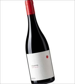 Enantio - Red Point, Cantina Roeno, Trentino