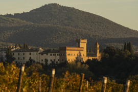 Merlot, Cabernet Sauvignon, Cabernet Franc - Passi di Orma, Orma, Toscane, Bolgheri