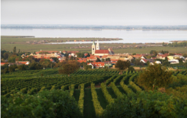 Gemischter Satz -  Landauer, Burgenland,  Oostenrijk