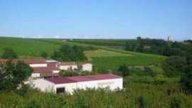 Syrah - Crozes Hermitage, Domaine Poinard,   Cru des Cotes du Rhone