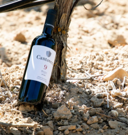 Tempranillo - ​ Cantovera 9 Meses, Ribera del Duero, Bodegas Valdecueva