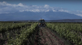 Grenache, Syrah - La Matine,  Domaine Singla Cotes du Roussillon