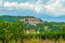 Cortese - Gavi Il Forte, Produttori del Gavi, Piemonte