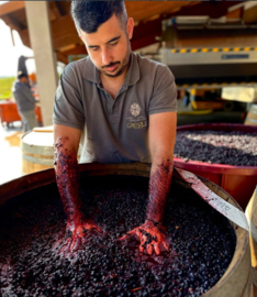 Cannonau -  Animosu, Tenute Gregu, Sardinie