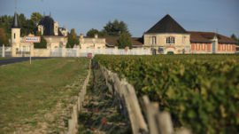 Cabernet Sauvignon, Merlot - Chateau Durfort Vivens Margaux 2ème Grand Cru Classé - 2016 - Bordeaux