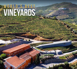 Sousão - Douro, Quinta do Vallado