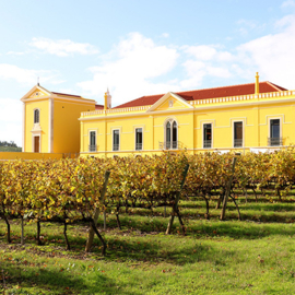 Aragonez, Trincadeira, Syrah - Pera Doce, Parras Wines