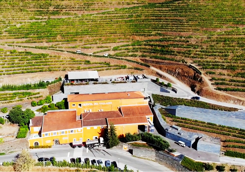 Touriga Nacional - Rosé , Quinta do Vallado, Douro