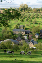 Peer - Domaine La Galotiere Poiré Bio, cider, Normandie