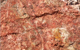 Gamay -  Cru Fleurie, Maison J. Thorin, Beaujolais