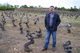 Mencia -   Bierzo, Pago de Valdoneje, Vinos Valtuille