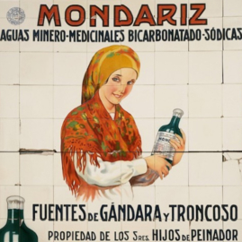 Mineraal water - Mondariz bruisend