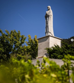 Kékfrankos, Pinot noir, Merlot + 4 - Aldas, Egri, Bikaver Superior, St Andrea, Hongarije