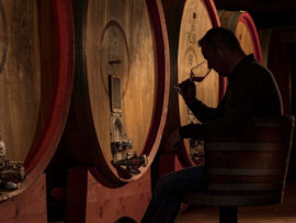 Nebbiolo - Barolo La Morra - Ciabot Berton - Piemonte