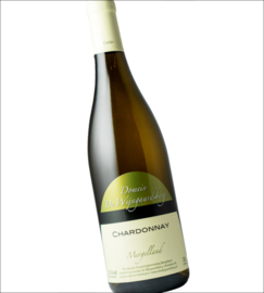 Chardonnay -  Wijngaardsberg, Limburg