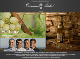 Chardonnay - Vire Clesse, Domaine Michel, Macon,