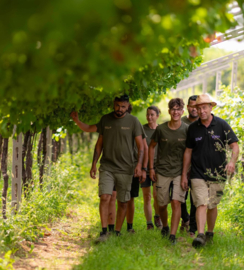 Enantio - Red Point, Cantina Roeno, Trentino