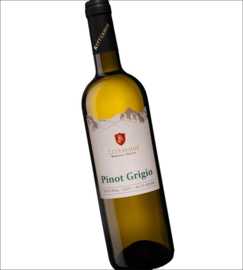 Pinot Grigio - Classico - Tenuta Ritterhof-  Trentino