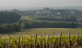 Chardonnay - Vieilles Vignes, Pouilly Fuisse, Domaine Cornin,