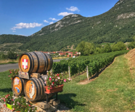 Jacquere, Chardonnay, Altesse  - Cremant de Savoie -  La Cave du Prieure -Jongieux