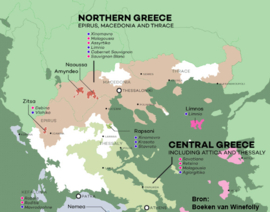 Xinomavro, Merlot - Bostani, Amyntheon Vineyards, Florina PGI - Griekenland