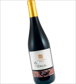 Barbera, Syrah, Petit Verdot en Grenache - Ela - Galil Mountain Winery - Israel