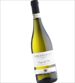 Moscato d´Asti - Frizzante - Cantine Povero