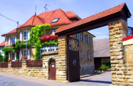 Silvaner -  Gustavshof  Rheinhessen - Bio-Vegan-HISTcheck